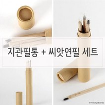 씨앗연필 지관필통 세트 n 싹이나는, 씨앗선택_해바라기