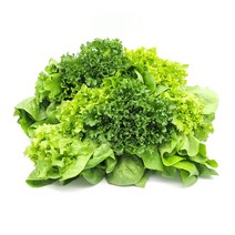 샐러드용 유럽채소 알사시아 버터헤드 외 2종 혼합1kg, 혼합 유럽채소 1kg