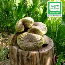 열매마(종자용겸용), 3kg