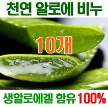 [오후5시 당일발송] 고농축 알로에비누 촉촉촉 보습진정 에너지 생 알로에천연비누 세수비누 비누 알로에 세안비누 천연 얼굴 YB맘, 10개, 100g, 10개