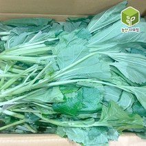 국내산 아욱 4kg, 단품