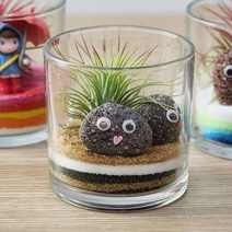 잎새몰 공기정화식물 행잉플랜트 에어플랜트 틸란드시아 이오난사 세트 모음, 이오난사테라리움 원통1010 내츄럴톤