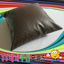 [KT알파쇼핑]35레자쿠션모음5레자쿠션쿠션+압축솜쿠션예쁜쿠션, 9번_W404C0B