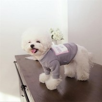 아트박스/피타 강아지 기모 맨투맨 Amused mtm C1, XS