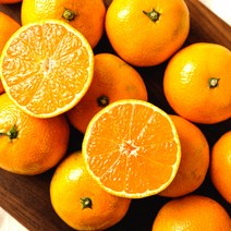 디카운티 귤 고당도 제주 햇 노지감귤 타이벡 극조생 조생 제주도 서귀포 감귤 5kg 10kg, 01. 타이벡 귤 5kg (2S-M)