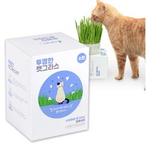 제이네이처 투명한 캣그라스 (소형) / 고양이귀리 고양이간식, 캣그라스_소형