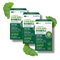 국산 혈액순환 혈행 개선 혈행엔 징코 플러스 은행잎추출물 기억력 감퇴 개선 7중 복합 기능성 건강기능식품 3개월, 3개월분 (사은품증정)