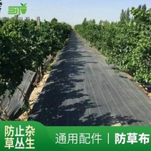 농업용 마대재질 잡초방지 지포 차양망 방초포 제초포 제초매트 원예지포, 길이 몇 m이면 몇 개 찍