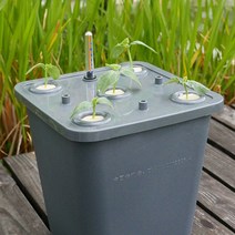 식물 재배기 수경 가정용 유리 온실 LED 야채 채소 콩나물 딸기 물주기 스마트팜, 10L 과일 심기 상자