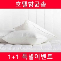 1+1 국내산솜 호텔베개솜 진드기차단(40x60/50x70) 8종택1, 06.1+1 마이크로 경추베개솜(40X60)