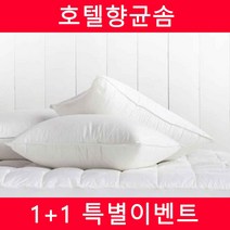 1+1 국내산솜 호텔베개솜 진드기차단(40x60/50x70) 8종택1, 03.1+1 피톤 항균베개솜(50X70)