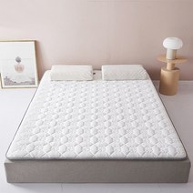 접이식 수면 매트리스 베이스 풍선 매트리스 메모리 폼 커버 matress latex futon songk colchon tatami bed mettress 10cm, 100x200cm 1개, 스타일-5