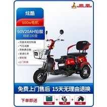 다인승 오토바이 삼륜 전동차 세발 전기 스쿠터 미니 카트 미니 노인 장애인, 600W 모터60V20Ah 납산 배터리