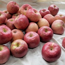 경북 부사 사과 흠과 주스용 9kg(랜덤과), 1개
