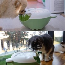 물을 잘먹지않는 아이들에게 반려동물자동순환급수대 반려동물급수대 개물통, 1개, 블랙+화이트