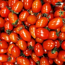대추 방울 토마토 750g x 2팩 국내산 100%, B의식탁 대추 방울 토마토 750g x 2팩