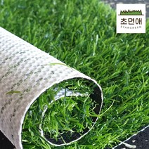 초면애 DIY 잘라쓰는 잔디매트 조경용 라텍스폼 연그린 20mm 120x100, 1개