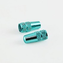 BIANCHI 비앙키 자전거 싸이클 밸브 캡
