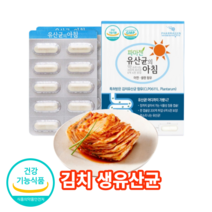 프로바이오틱스 프락토바실러스 플란타럼 불가리쿠스 아연 특허받은 김치 유산균 함유 장용성 알약형태 프로 바이오 스틱 캡슐, 60 캡슐 X 1개
