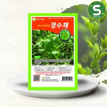 솔림텃밭몰 베이비경수채씨앗 10g 베이비채소 경수채씨앗 경수채, 단품