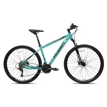 트라젠 TM3900 29인치 24단 유압식디스크 MTB 자전거, 그레이/17.5인치, 완조립