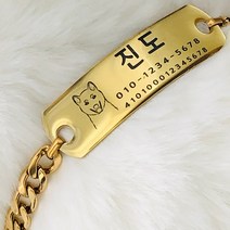 황금률 진돗개 리트리버 허스키 대형견 믹스견 이름표 목줄 (써지컬 스틸 체인)