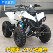 충전식 사륜 바이크 오토바이 산악 ATV Xiaobawang 4륜 비치카 오프로드 차량 자전거 빅 리어 드라이브 소형 화성 황소, [05] 맞춤 제작
