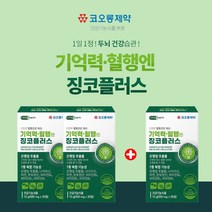 기억력 감퇴 뇌에 좋은 뇌혈관 집중력 영양제 혈관청소 징코플러스 은행잎추출물 징코빌로바 뇌 기능 생각 활성화 에 좋은 인지력 저하 혈행 개선 플라보놀배당체 징코 ginko 영양제, 2+1(3개월분), 3개