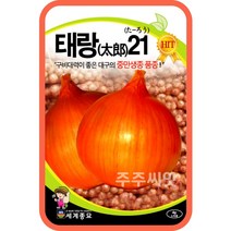 태랑21 양파 씨앗 4g / 채소 종자 김장재료 텃밭가꾸기 야채키우기 주말농장 onion seed 양파씨앗