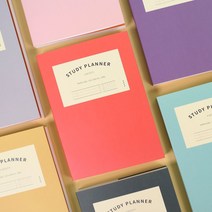 건망증 더메모 정석 스터디플래너 수능 체크 투두리스트 일일업무일지 공부 하루계획표 한달 운동일기 대학생 100일, 코랄