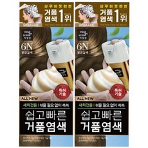 미쟝센 쉽고 빠른 거품 염색 새치전용, 6N(밝은갈색), 2개