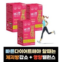 체지방 감소 살빼는데 도움되는 다이어트 도움되는 에너지 비타민 가르시니아 식약처인증 다이어트 보조제 체지방빼기 허벅지살 아랫뱃살 옆구리살 체중 빼기 빼는 법, 1통