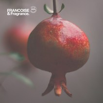 프랑스와즈 유기농 석류씨 오일, 100ml