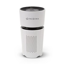 트리아이나 TN-R25 차량용 공기청정기 소형 미니 공기정화기 휴대용 USB 유모차 원룸, TN-R25 공기청정기