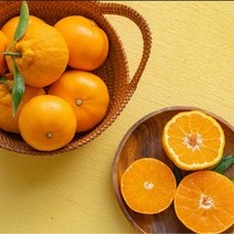 프리미엄 제주 한라봉 천혜향 레드향 만감류 선물세트, 5kg, 레드향로얄과선물세트