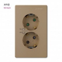 V) 대기전력 자동차단 콘센트 2구 (대기+상시) 브라운 93022158EA, 1, 본상품선택