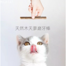 힐링타임 고양이 마따따비 막대, 혼합 색상, 20개입