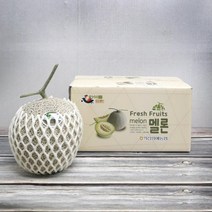 [농협] 머스크멜론 3.2kg내외(2수), 단품