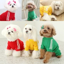 말썽쟁이여름 강아지 애견 중형견 반려견 닥스훈트 옷 올인원 스판 츄리닝 추리닝 트레이닝복 트레이닝, 레드