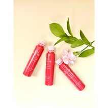 LG생활건강 생활정원 하나미 콜라겐 앰플 30일분 시음용 (25ml 30병), 25ml
