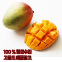 브라질 애플망고 항공수입 진짜망고, 애플망고 8-9과