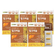 조정석 밀크씨슬 GNM 자연의품격 간 기능 건강 밀크시슬 알약통증정 알 작은 영양제 개선제 피로 회복 체력 연예인 비타민 유명한 밀크시술 밀크씨쓸 효과 좋은 추천 +알약케이스증정, 5개월분 (5통) *할인특가 적용*