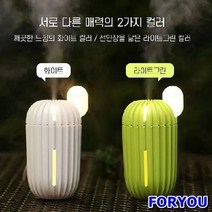 Foryou2231 네오투엠 선인장가습기 수분 가습기 USB 가정용 사무실 휴대용 무드등, 라이트그린, 상세페이지 참조