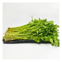 [농부마음] 청도 무농약 한재 미나리 500g, 상세 설명 참조