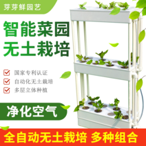 가정용 식물재배기 수경재배기 식물 재배기 흙재배 설비가 없는 가정 베란다 채소기 실내 수배채소 재배상자 수경립, 옵션05, 크다