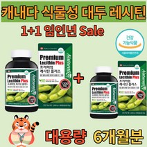 포스파티딜콜린 레시틴 인지질 대두레시틴 콜레스테롤 개선, 레시틴플러스 180캡슐 X 2통