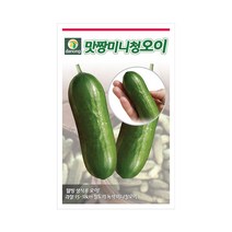 헬프팜 맛짱미니청오이 10립 오이씨 씨앗 종자 다농, 1세트