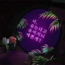 데코밍샵LED액자45R_네온느낌글씨2_LED조명액자, 타입1.예쁜게