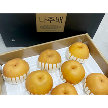 나주 신고배 선물세트 특품 7.5kg(7~10과)