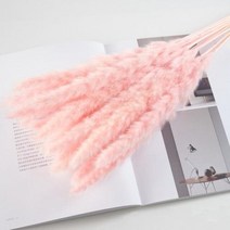 인조대나무 새로운 도착 작은 팜파스 잔디 플로레스 세카 진짜 꽃 블랙 화이트 그레이 핑크 블루 기본 색상 웨딩 장식